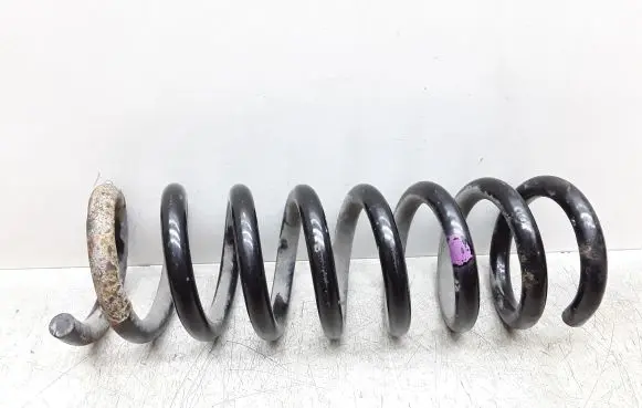 Rear coil spring