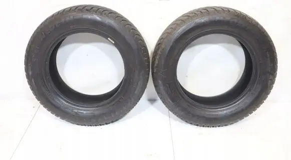 Skoda Fabia Mk1 (6Y) R14 winter tire 6970364572274