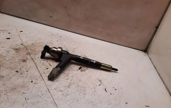 Opel Combo C Fuel injector 8973138612 05G05708
