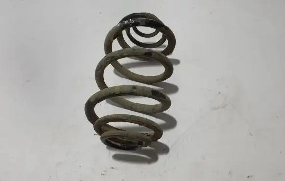 Opel Vivaro Rear coil spring 8200168005
