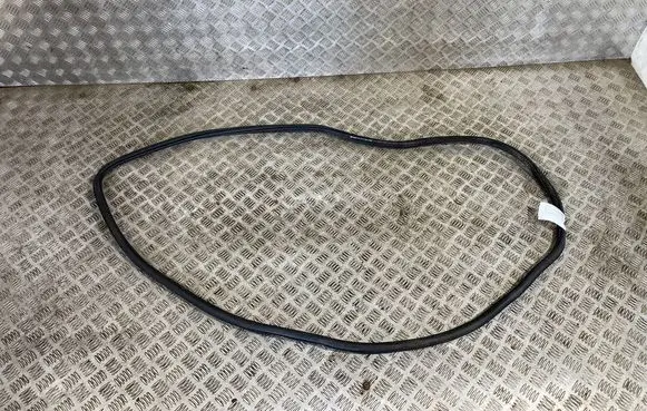 Volkswagen Tiguan Rubber seal front coupe door 5NA867911B