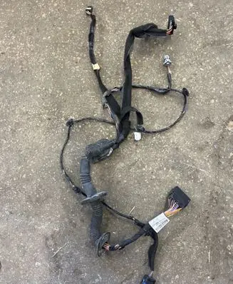 Front door wiring loom