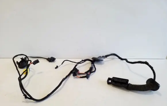 Audi S5 Facelift Front door wiring loom 8T8971030