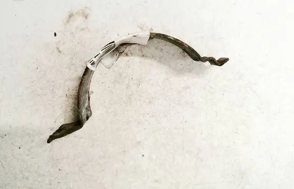 Fiat Punto (188) Other exterior part 55702104