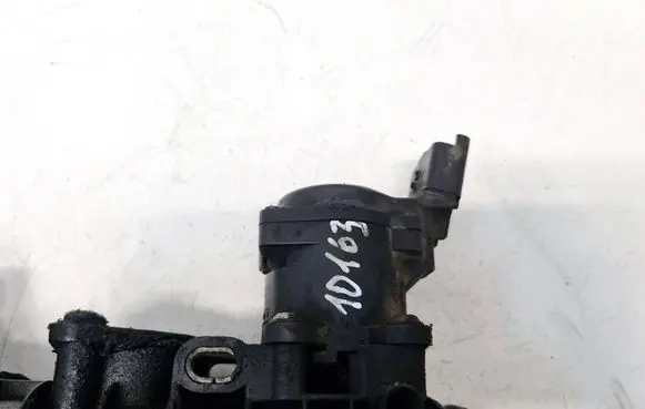 Land Rover Range Rover Sport L320 Throttle valve 215979142