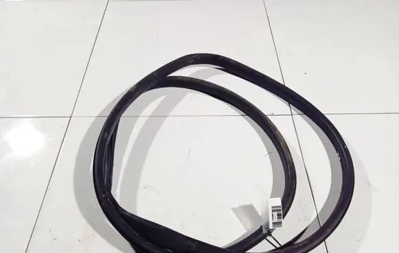Renault Megane III Rubber seal front coupe door 