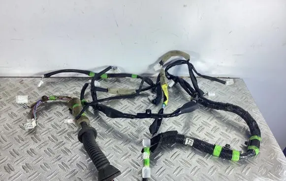 Lexus RX 450H Front door wiring loom 8215248730