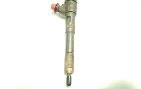 Renault Captur Fuel injector H8201453073 0445110653