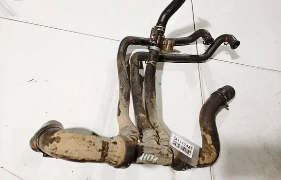 Nissan Primera Engine coolant pipe/hose 