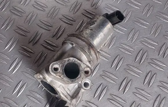 Hyundai i20 (PB PBT) EGR valve 284102A350