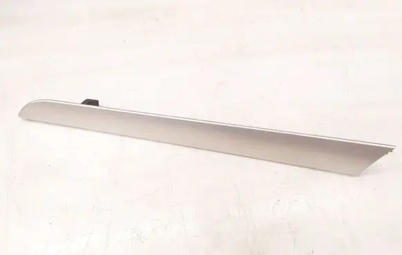 Other rear door trim element