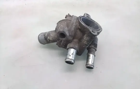 Thermostat/thermostat housing