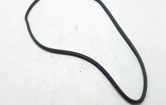 Volvo C30 Front door rubber seal 31298370