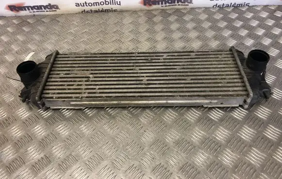 Renault Trafic II (X83) Intercooler radiator 868926QJ IA1009