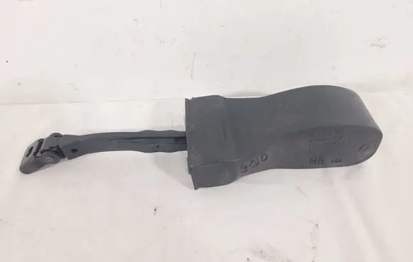 Volkswagen PASSAT B8 Rear door check strap stopper 3G0839267