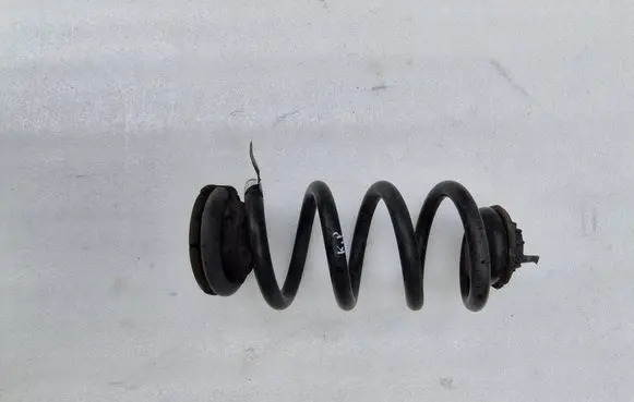 Rear coil spring