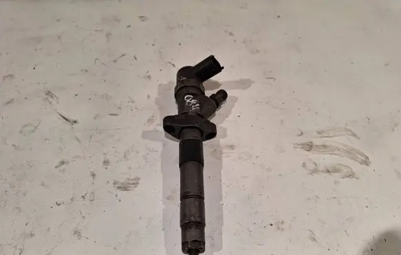 Renault Espace IV Fuel injector 0445110084