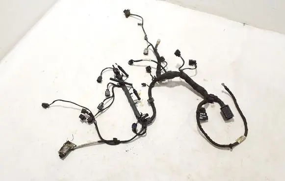 Volkswagen Amarok Engine installation wiring loom 2H0971078AB