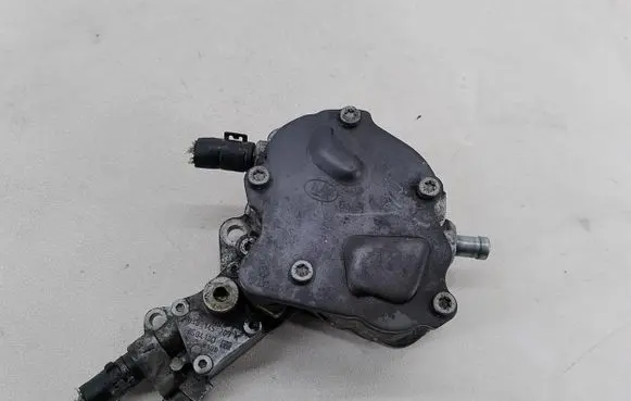 Volkswagen Golf V Vacuum pump 038145209K