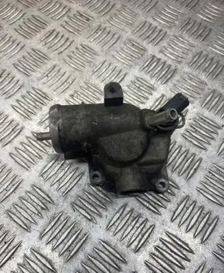 Thermostat/thermostat housing