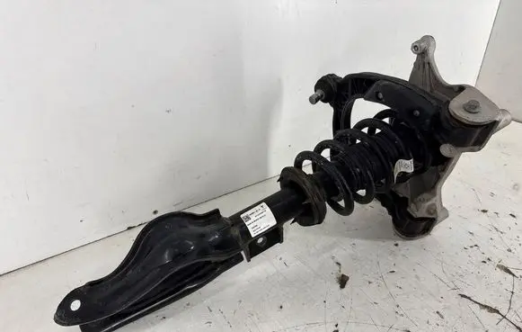 Tesla Model 3 Front shock absorber with coil spring 104436300G 104432100J 104437100D