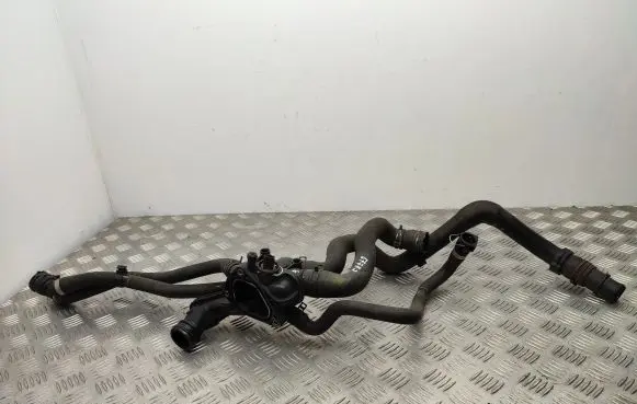 Thermostat/thermostat housing
