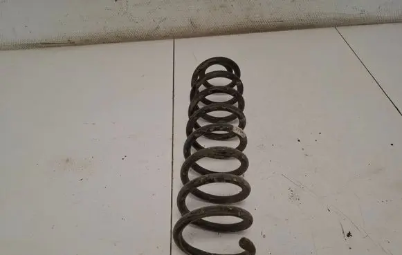 Rear coil spring