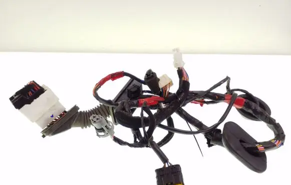 Front door wiring loom