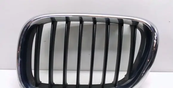 BMW X5 E53 Front bumper upper radiator grill 8247673 51138247673