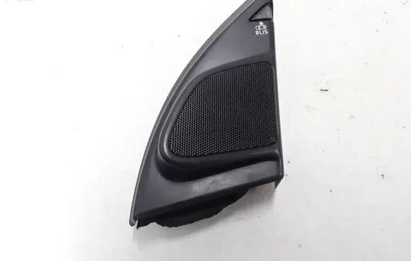 Front door speaker