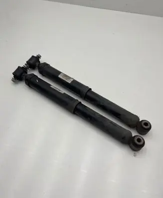 Opel Crossland X Rear shock absorber/damper 9841106480