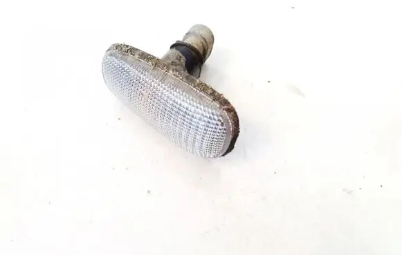 Front fender indicator light