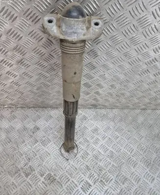 Cupra Born Rear shock absorber/damper 1EA513423