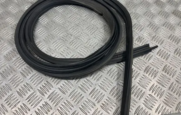 Nissan Juke I F15 Trunk rubber seal (body) 