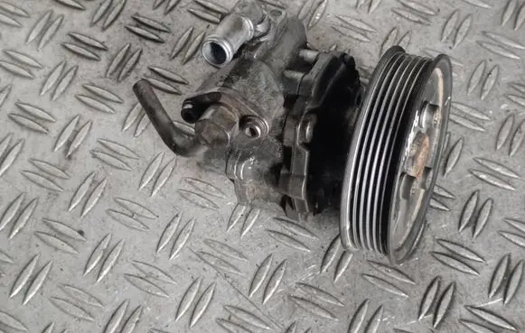 Volkswagen Touareg I Power steering pump 7L8422154G 7651955153 050091285
