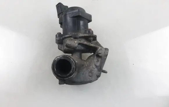 EGR valve