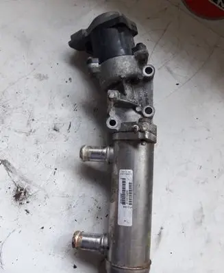 Peugeot 607 EGR valve