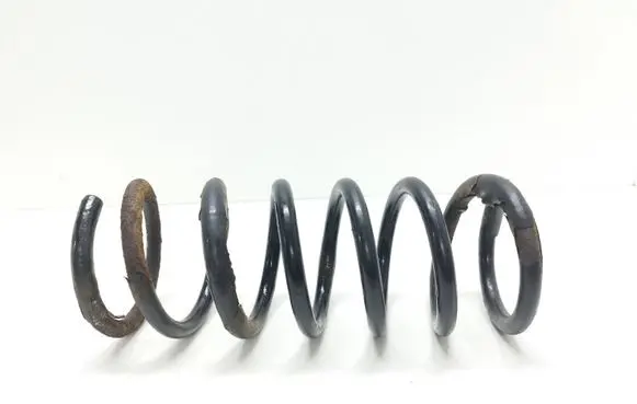 Ford S-MAX Rear coil spring