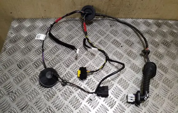 Rear door wiring loom