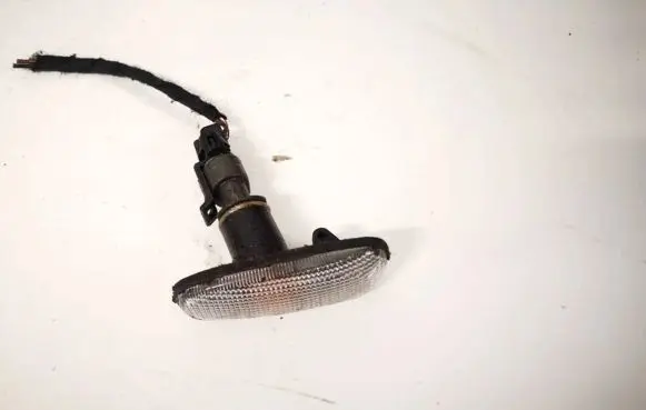 Front fender indicator light