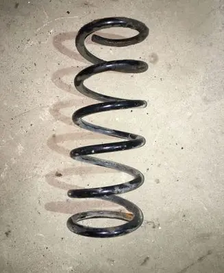 Rear coil spring