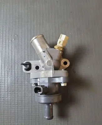 Thermostat/thermostat housing