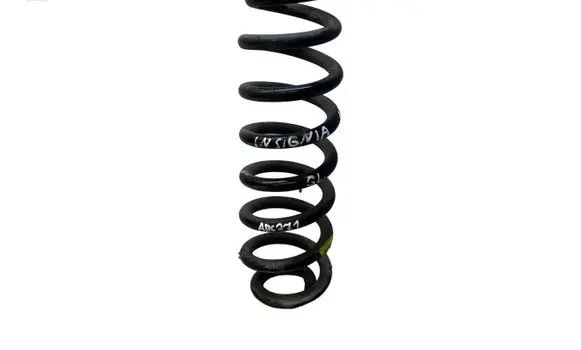 Opel Insignia B Rear coil spring AA6K