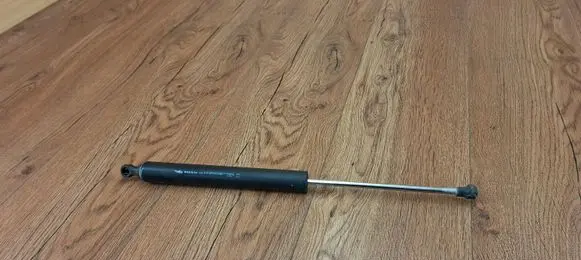 Tailgate/trunk strut/damper
