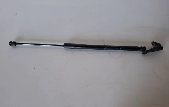 Tailgate strut