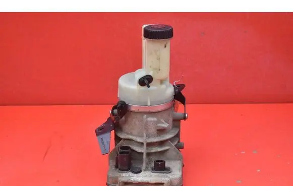 Buick Roadmaster Power steering pump 491103543R