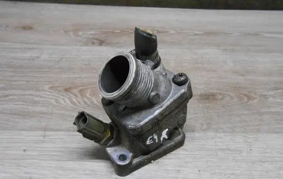 Thermostat/thermostat housing