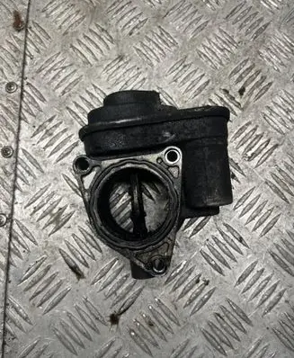 Volkswagen PASSAT B6 Throttle valve 038128063G