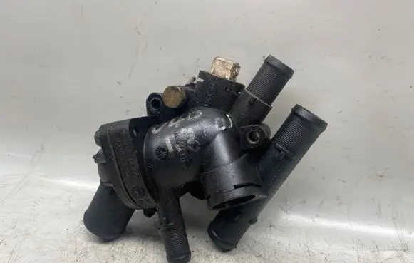 Thermostat/thermostat housing