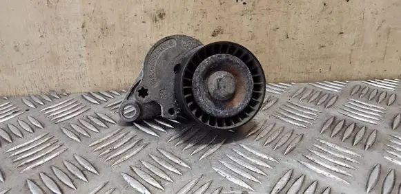 Nissan X-Trail T31 Timing belt tensioner 8200357406